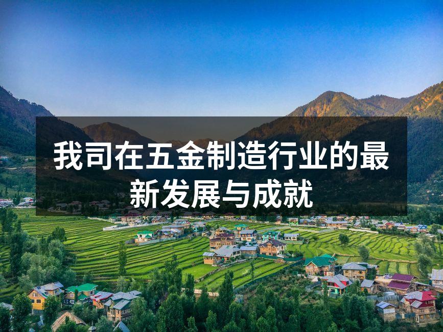我司新型冲压设备现场